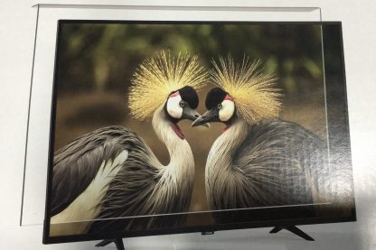 TV EKRAN KORUYUCU 55İNÇ 140 EKRAN