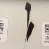 EBT64603056 EAX67872805 LG 43UK6470 MAİN BOARD - Görsel 3