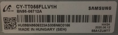 SAMSUNG QE55Q95TATXTK PLEKSİ