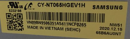 CY-NT065HGEV1H BN9506351A SAMSUNG UE65TU8500U PLEKSİ